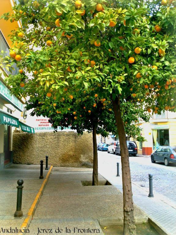 Hotel Al Andalus Jerez Jerez de la Frontera Exterior foto